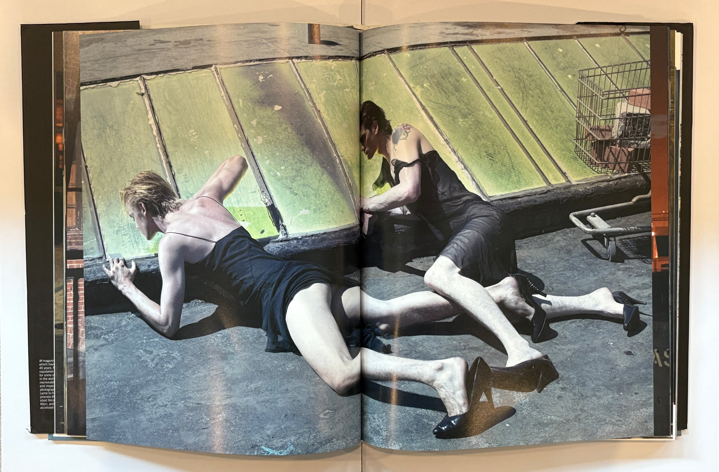 W: Stories by Stefano Tonchi
