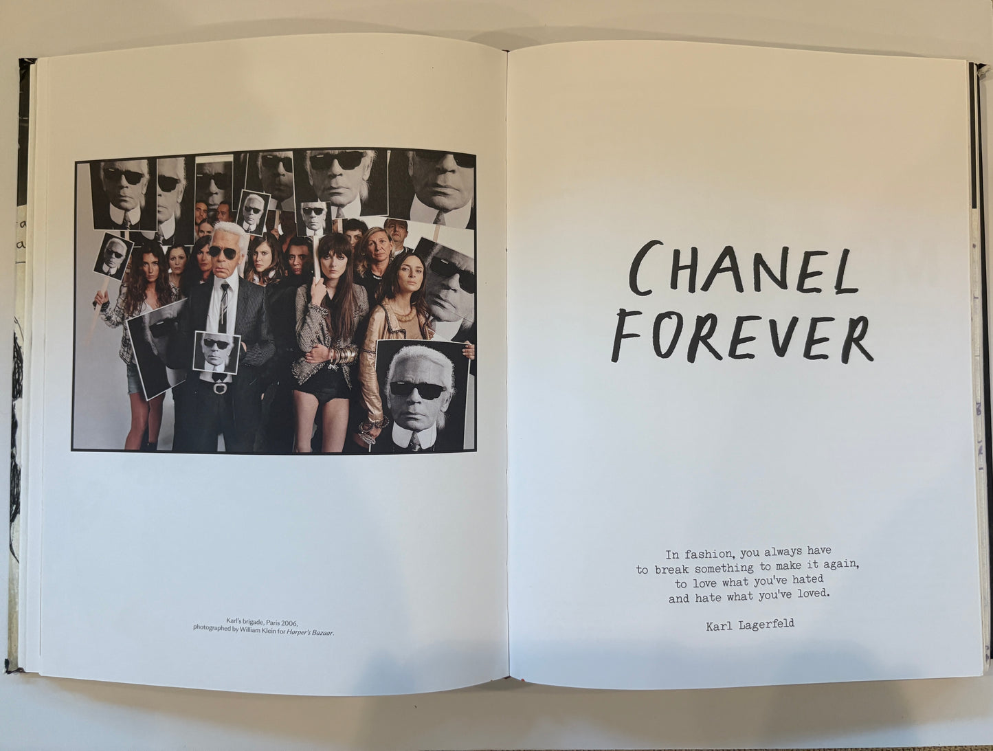 Runway Bird: A Rock 'n' Roll Style Guide by Irina Lazareanu