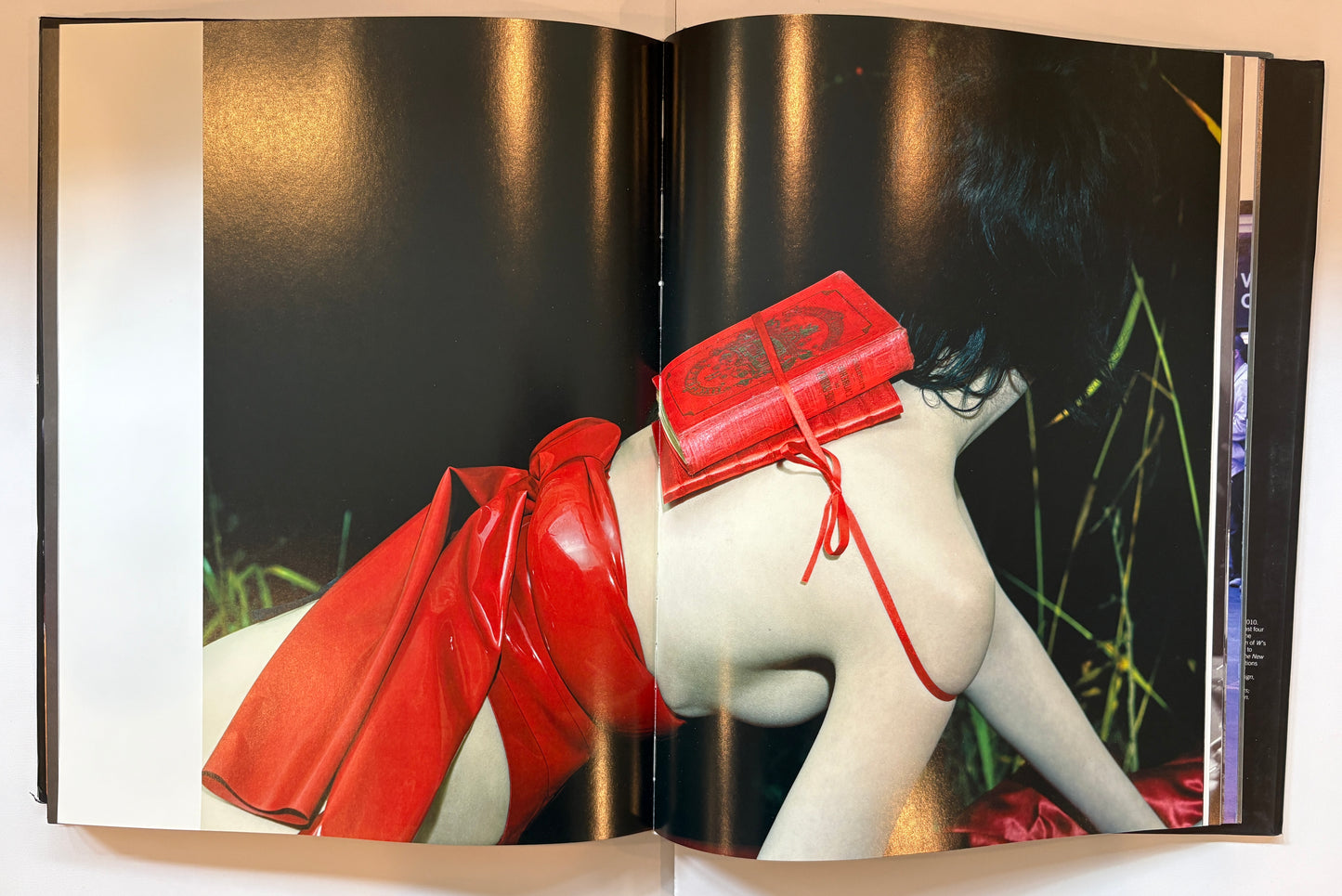 W: Stories by Stefano Tonchi