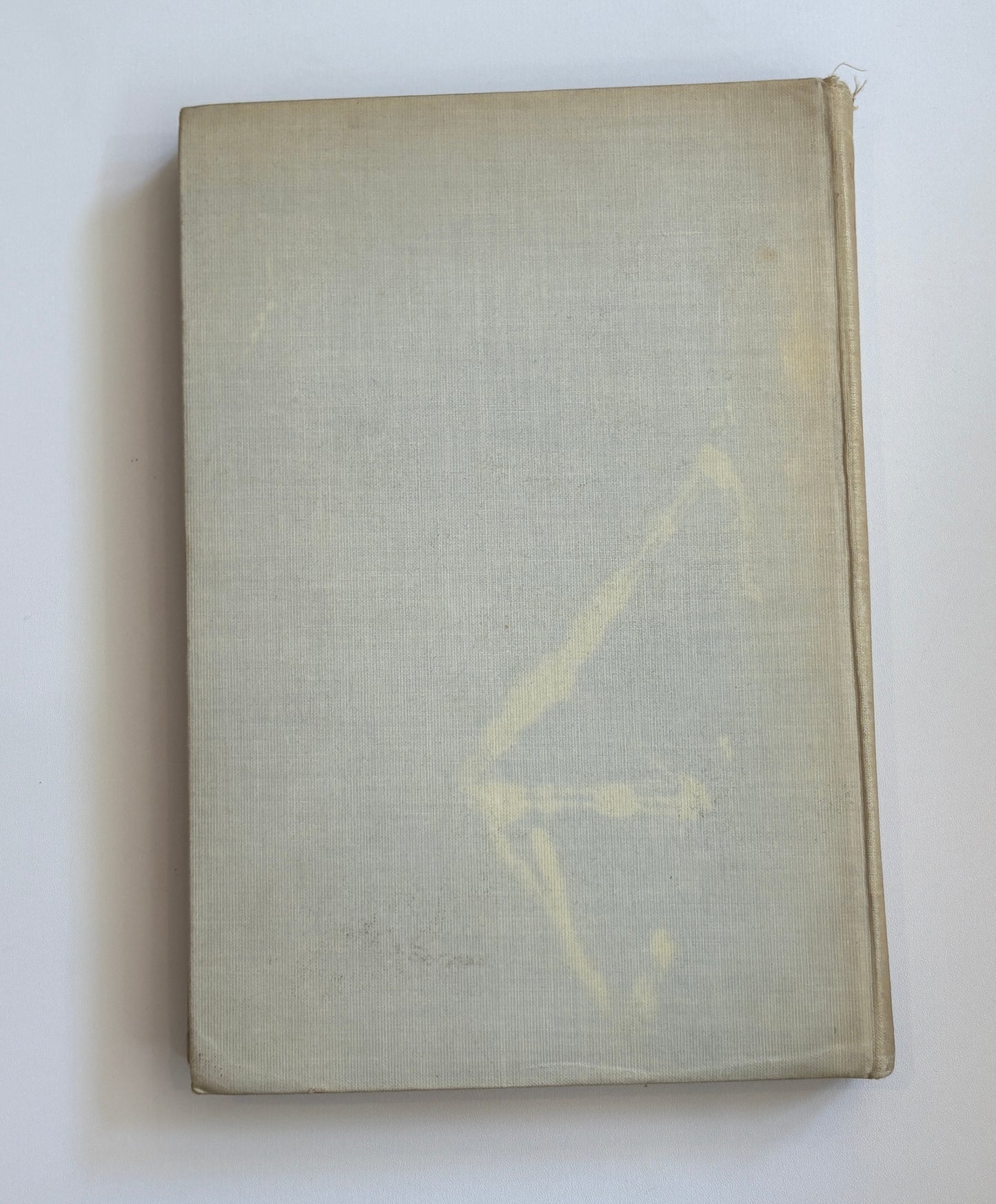 The Value of Love (Published in 1906)