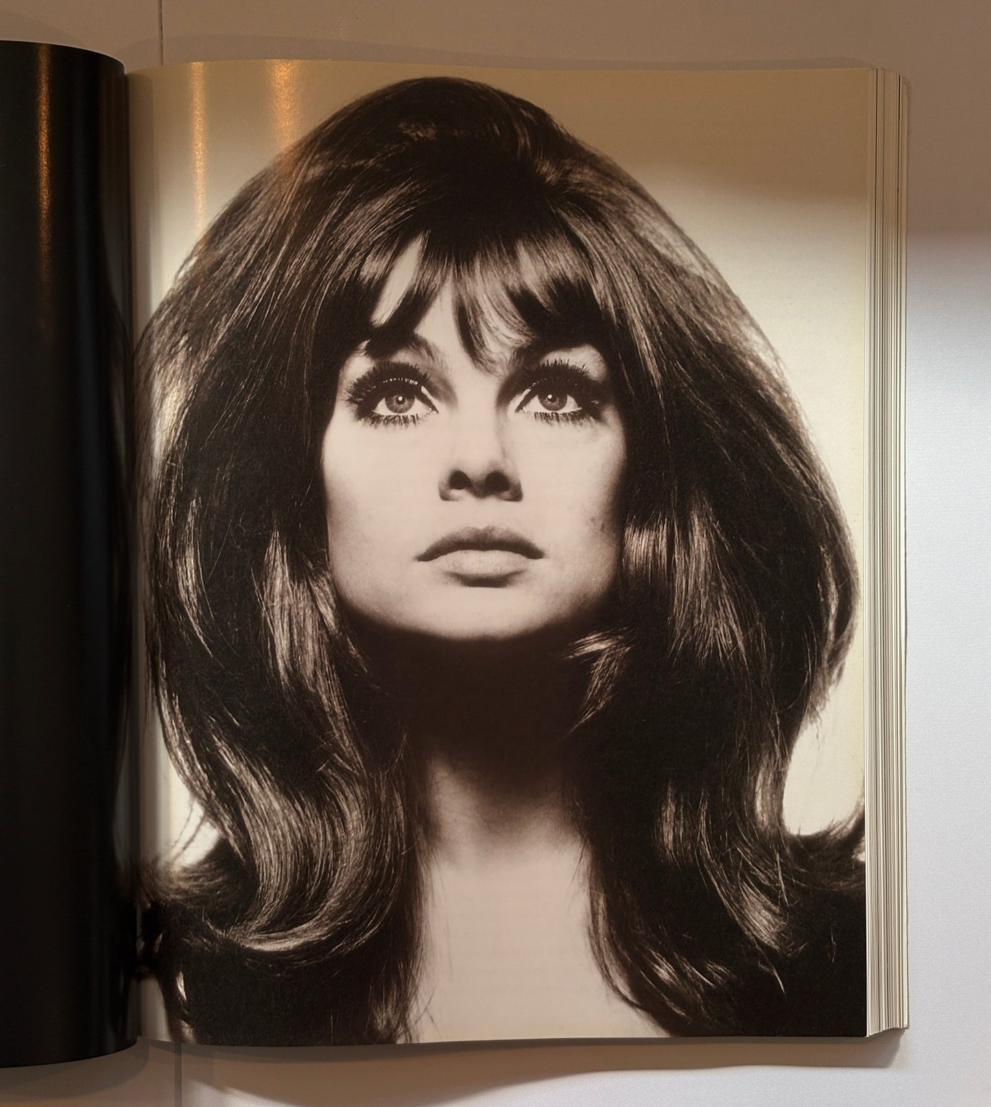 The Model as Muse: Embodying Fashion