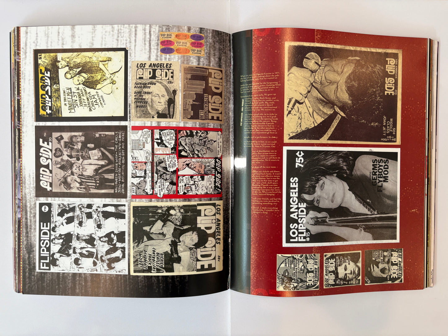 Punk is Dead, Punk is Everything by Bryan Ray Turcotte