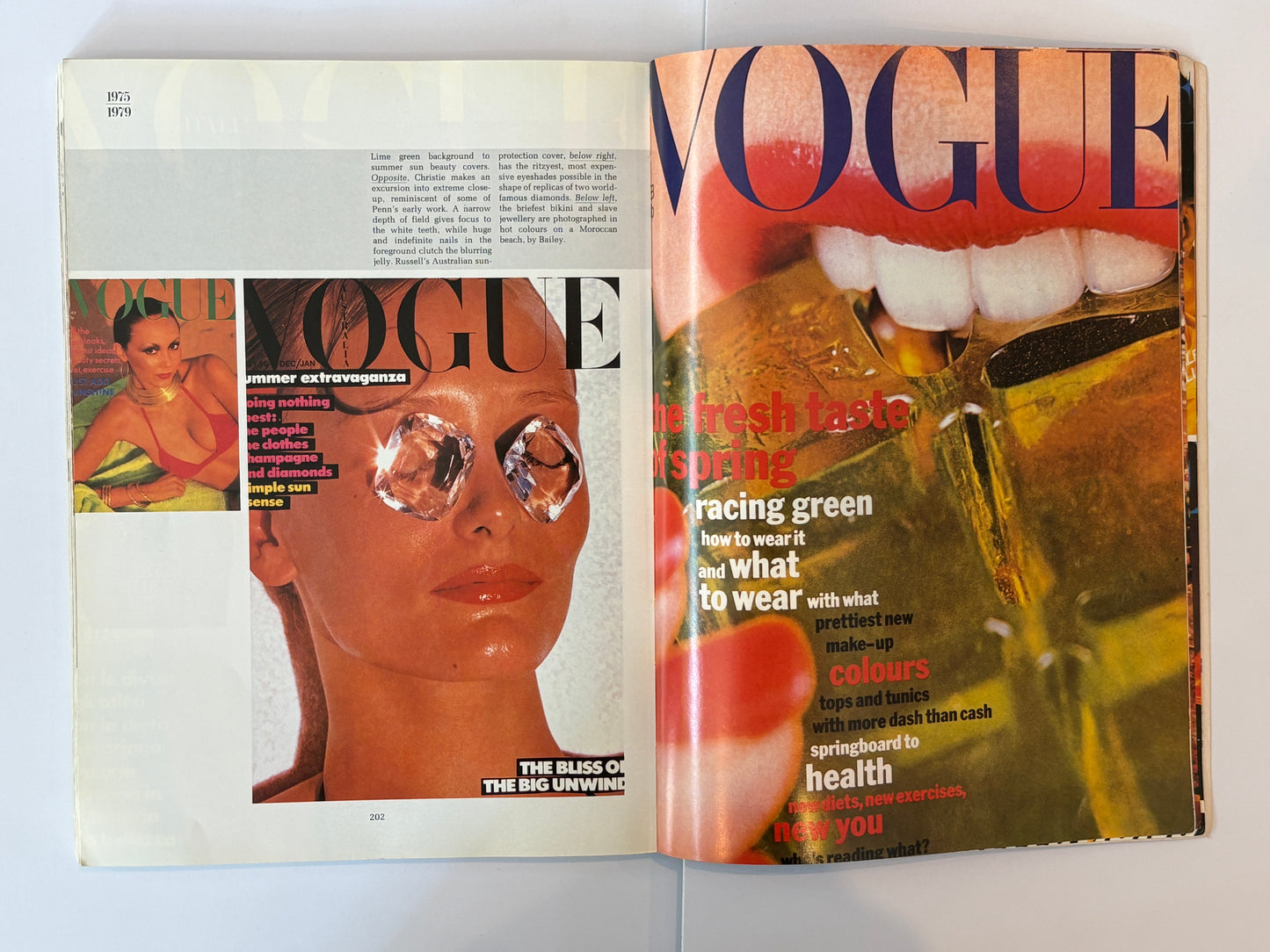 The Art of Vogue Photographic Covers by Valerie Lloyd